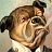 Picture of bluzdog